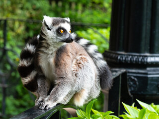 Fototapeta premium OLYMPUS DIGITAL CAMERA