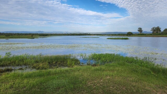 St Lawrence Wetlands in Queensland, Australia