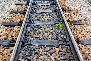 Naklejka premium Railway tracks with small plants growing between sleepers, symbolizing abandoned transport route, nature reclaiming infrastructure, and passage of time.