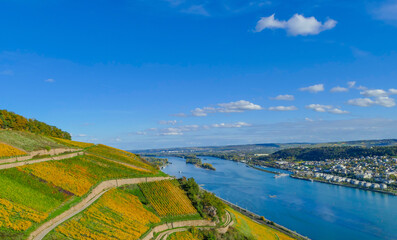 Herbstliches Rheinland Deutschland