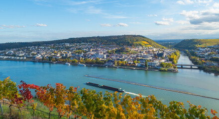 Landschaftspanorama Blick auf Rhein und Bingen von Weinberg