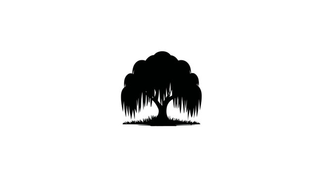 A silhouette of a willow tree in black against a white background. It's on a patch of grass