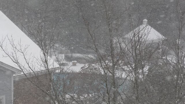 Winter Storm Gianna in Greenville, South Carolina. Strong Snow Blizzard in Winter, Greenville, South Carolina. Blizzard Strong Wind And Heavy Snow Lash Town. Heavy Snowstorm in Residential Area.