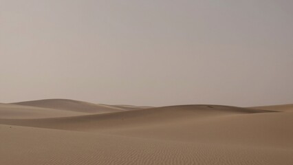 Vast desert landscape taken low angle capturing expanse sand dunes sahara vastness stretches far eye