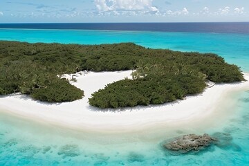 Aerial View of Pristine Tropical White Sand Beach and Turquoise Ocean Lagoon