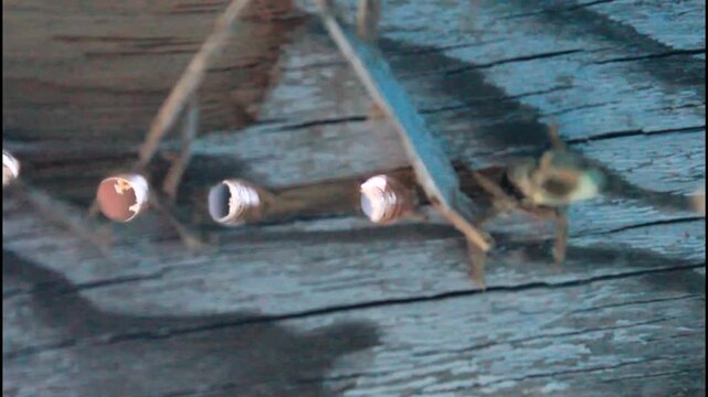 CLOSE UP CONTRA PICADA TALADRO PERFORANDO UNA TABLA DE MADERA