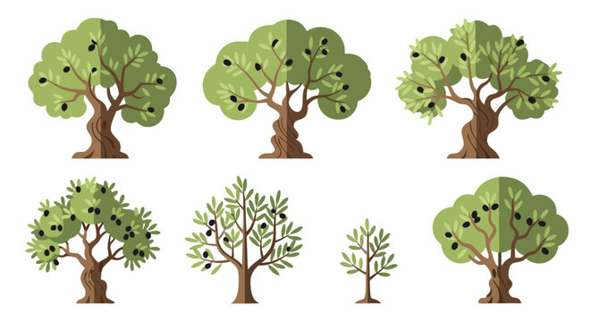 Collection of six stylized vector illustrations depicting various sizes and shapes of ancient olive trees