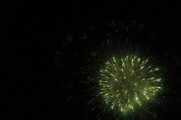 burst of the green firework in the dark sky 
