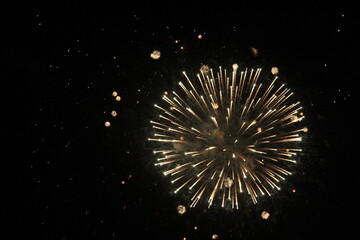 a bright bursting firework in the night sky