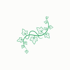 Naklejka premium Green Ivy Vine Swirl Decoration Vector Illustration