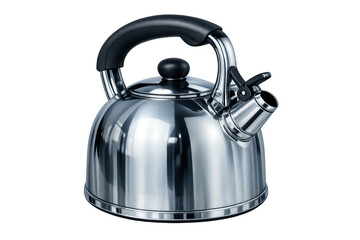 Stainless steel whistling kettle for boiling water