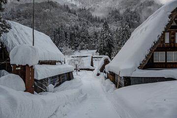 越中五箇山相倉合掌造り集落の雪景色