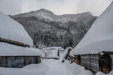 越中五箇山相倉合掌造り集落の雪景色