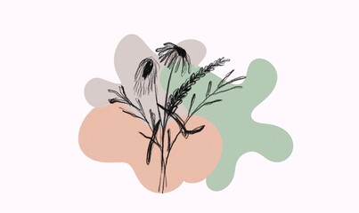 Delicate sketch of wildflowers and grass against soft, abstract pastel shapes in peach, sage green, and gray