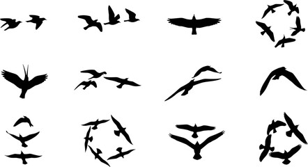 Silhouettes of flying birds in dynamic formations, showcasing various wing positions, aerial motion, and flock behavior for nature, wildlife, and design illustration themes.