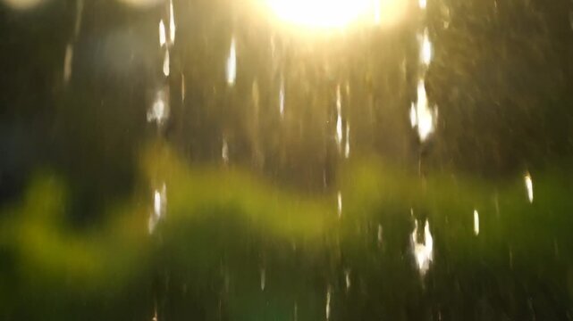 Golden hour rain shower. Bright sun flare illuminates falling water drops. Great for weather, nature, or abstract background projects.