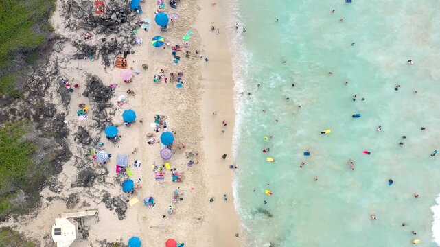 Aerial Top Down View of Tropical Beach with Sunbathers and Swimmers, Big Island Hawaii
