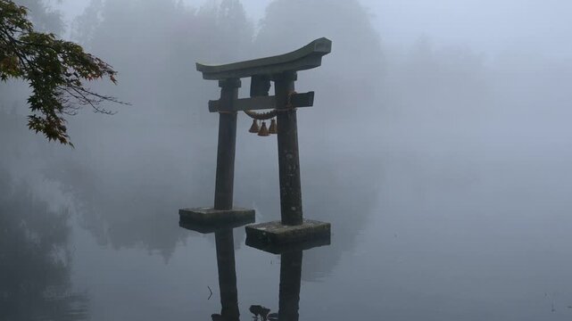 金鱗湖の鳥居と朝霧