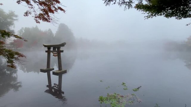 金鱗湖の鳥居と朝霧