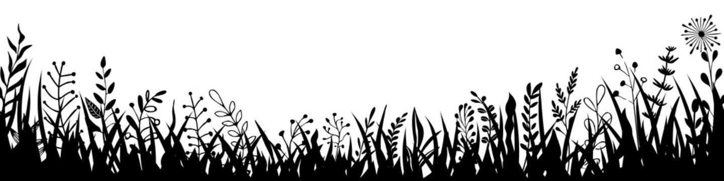 Drawn wild grass isolated on white background, vector design