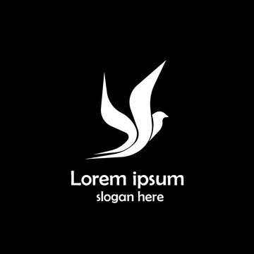White bird logo design with placeholder text on black background.