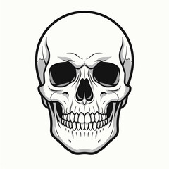 Striking black and white illustration of a human skull, rendered with meticulous anatomical detail and a bold, artistic design