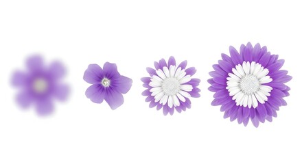 Fototapeta premium Beautiful blue and violet spring set flowers with green leaves isolated on a white background in a macro blossom garden floral nature bloom