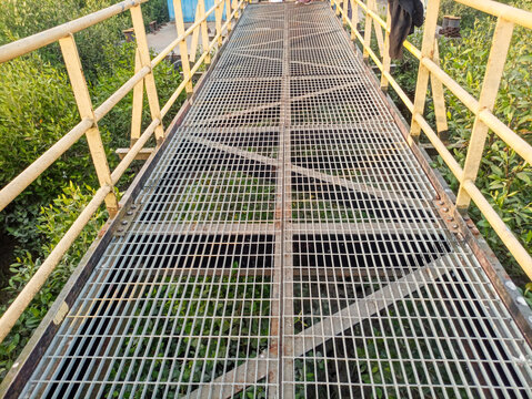 Industrial Metal Grating Walkway Over Green Mangrove Vegetation