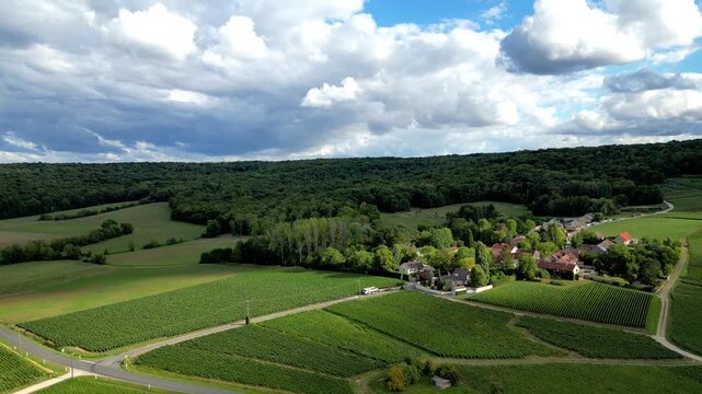 Aerial panorama of green vineyards and rolling countryside with farmhouses, tree line hills and dramatic cloudy sky, rural landscape in summer.