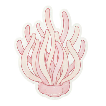 SeaAnemone