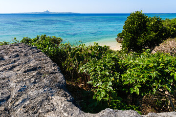 沖縄で見つけた南国の豊かな自然と文化を感じる風景