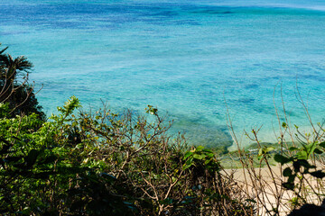 沖縄で見つけた南国の豊かな自然と文化を感じる風景