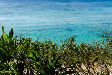 沖縄で見つけた南国の豊かな自然と文化を感じる風景