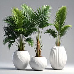 Three potted palm trees in decorative white pots set against a neutral background in a studio setting