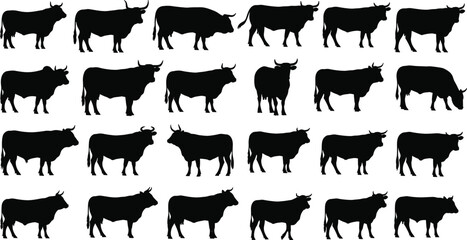 Obraz premium Collection of Bull Silhouette Vector Illustration Set, Different Cattle Breeds Including Male Cow Ox and Livestock for Farming Agriculture Beef and Ranch Design