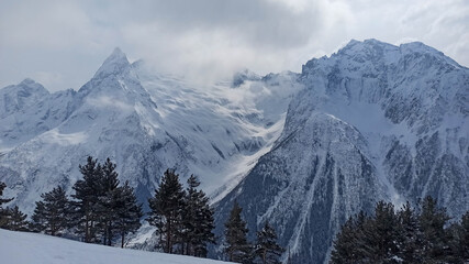 Obraz premium Snow covered Caucasus Mountains peaks and pine forest. Dombay ski resort, Russia. Winter alpine landscape