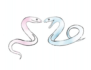 Fototapeta premium Two Snakes Forming Heart Shape Vector Illustration