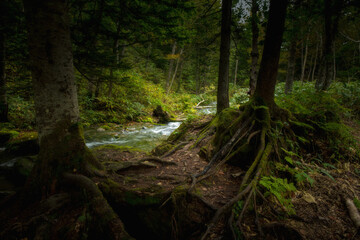 Obraz premium Shirogane Falls Trail in Hokkaido, Japan