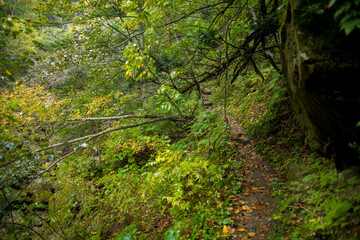 Sounkyo Trail in Hokkaido, Japan