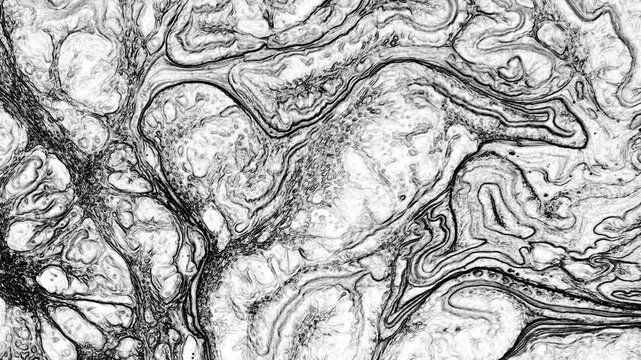 This black and white paint texture offers understated visual richness through texture and tonal variation, suitable for backgrounds and layouts.