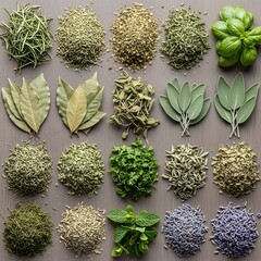 Selection of aromatic herbs and culinary plants for seasoning food