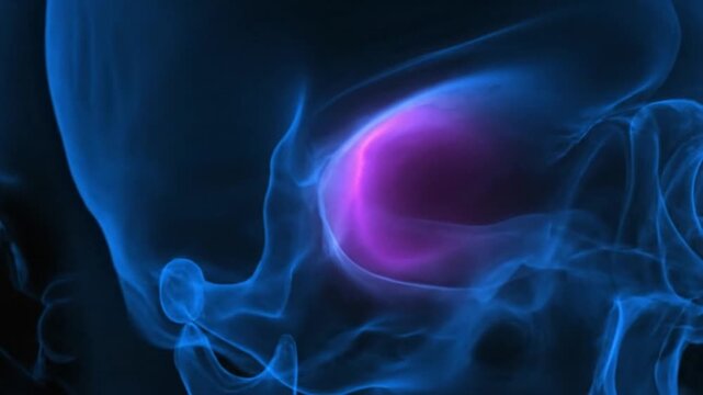 Medical Imaging of Human Eye Anatomy.