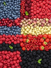 Vibrant assortment of colorful summer berries, fresh and ready to eat