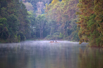 Pang Ung Reservoir with asian young family or tourist relax travel on bamboo rafting with selfie take photo by smartphone in lake with morning fog mist on water surface in autumn winter in Thailand
