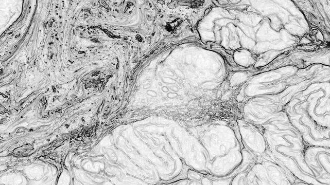 This grayscale paint texture presents a refined surface with subtle tonal shifts, ideal for minimal design and professional branding visuals.