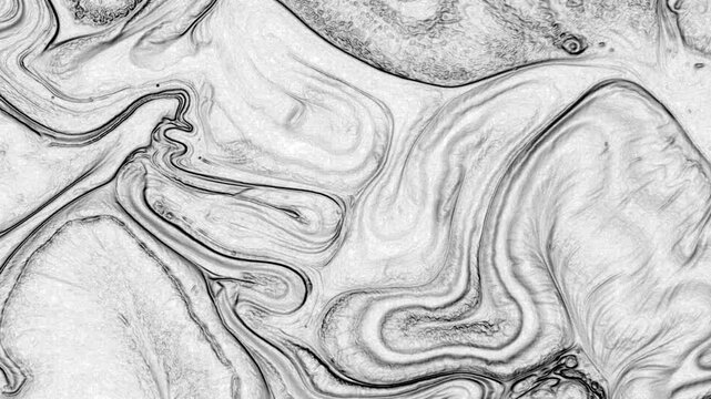 A monochrome paint texture with layered tonal depth and soft contrast. The surface detail enhances visual richness while remaining suitable for minimal and modern creative use