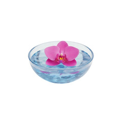 spa still life with orchid