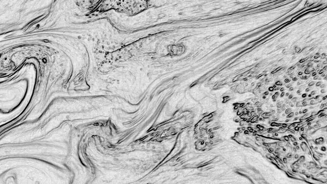 A refined monochrome paint surface emphasizing form and texture rather than color. The balanced grayscale tones make it suitable for modern layouts, presentations, and conceptual visuals.