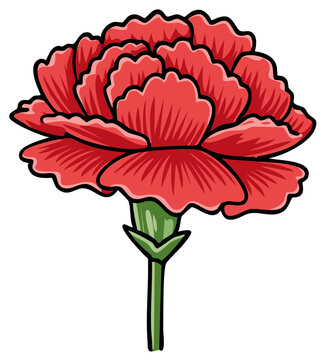 Vibrant red carnation flower illustration with green stem and bold black outline vector art