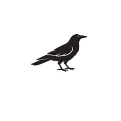 Obraz premium Crow logo vector icon silhouette illustration.